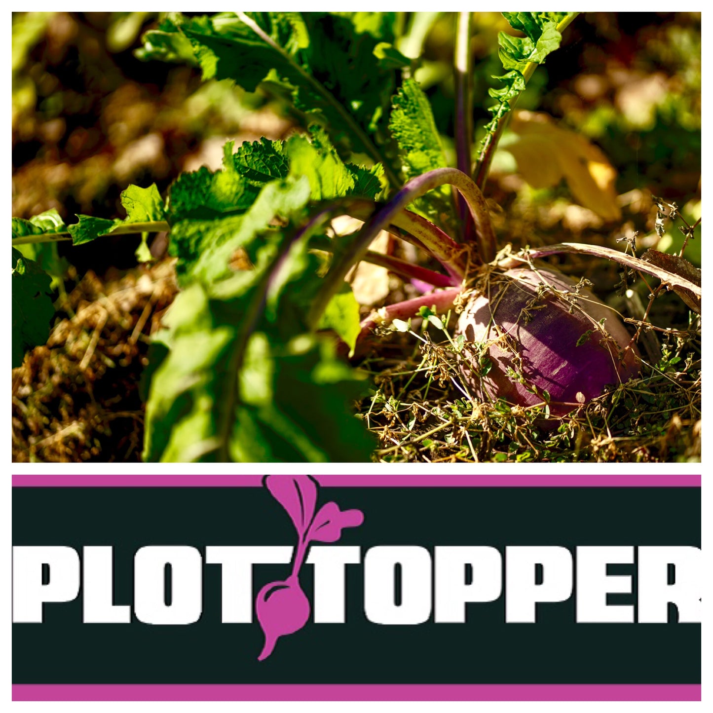 Plot Topper 3lb Jug (1/2 Acre)